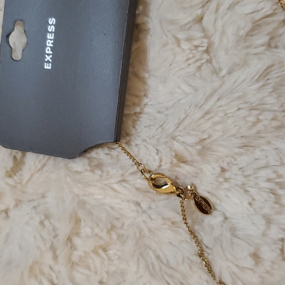 NWT Express Gold and Turquoise Necklace - Picture 6 of 7